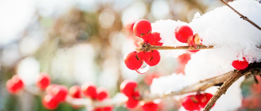 奉劝矮个子的女孩，尽量趁年轻时把自己嫁出去，这时的女孩娇小可爱水灵，有许多男孩喜