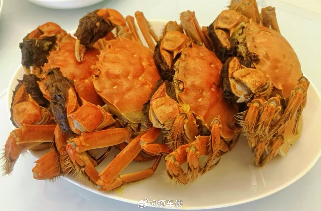早餐吃什么最有排面？[吃瓜]早餐​​​