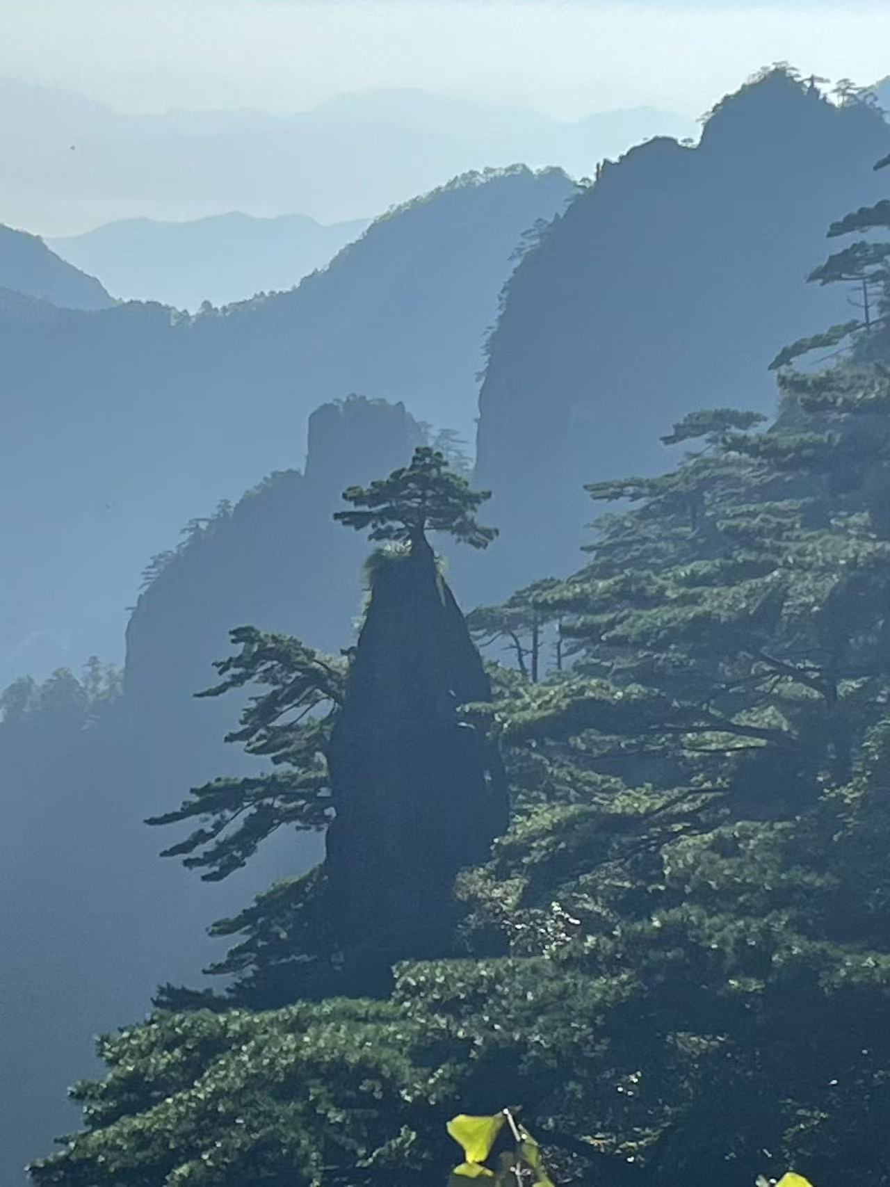 安徽黄山避暑攻略｜22℃山水攻略！