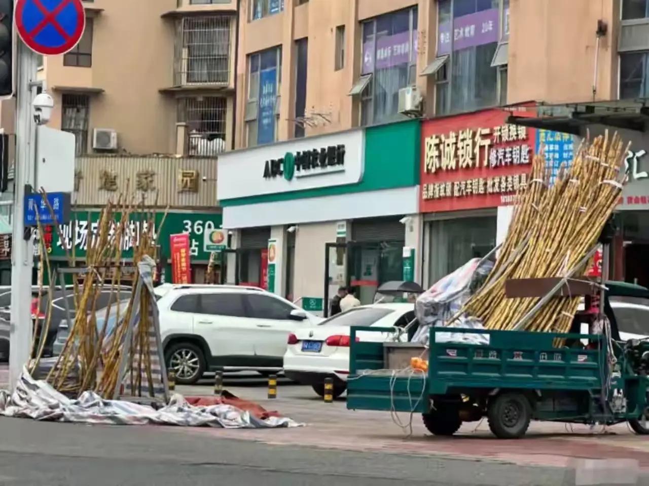 全网破防！四川大哥消失数月，甘蔗枯成木头，一句担心平安看哭无数人四川一男子