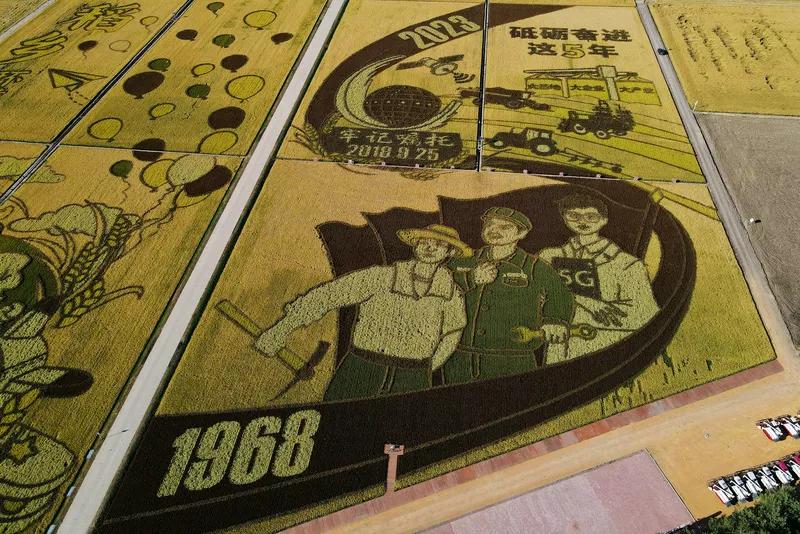 今天，北大荒，三个字，成为一种历史荣耀，成为社会正能量的代名词，很多厂商以产地“