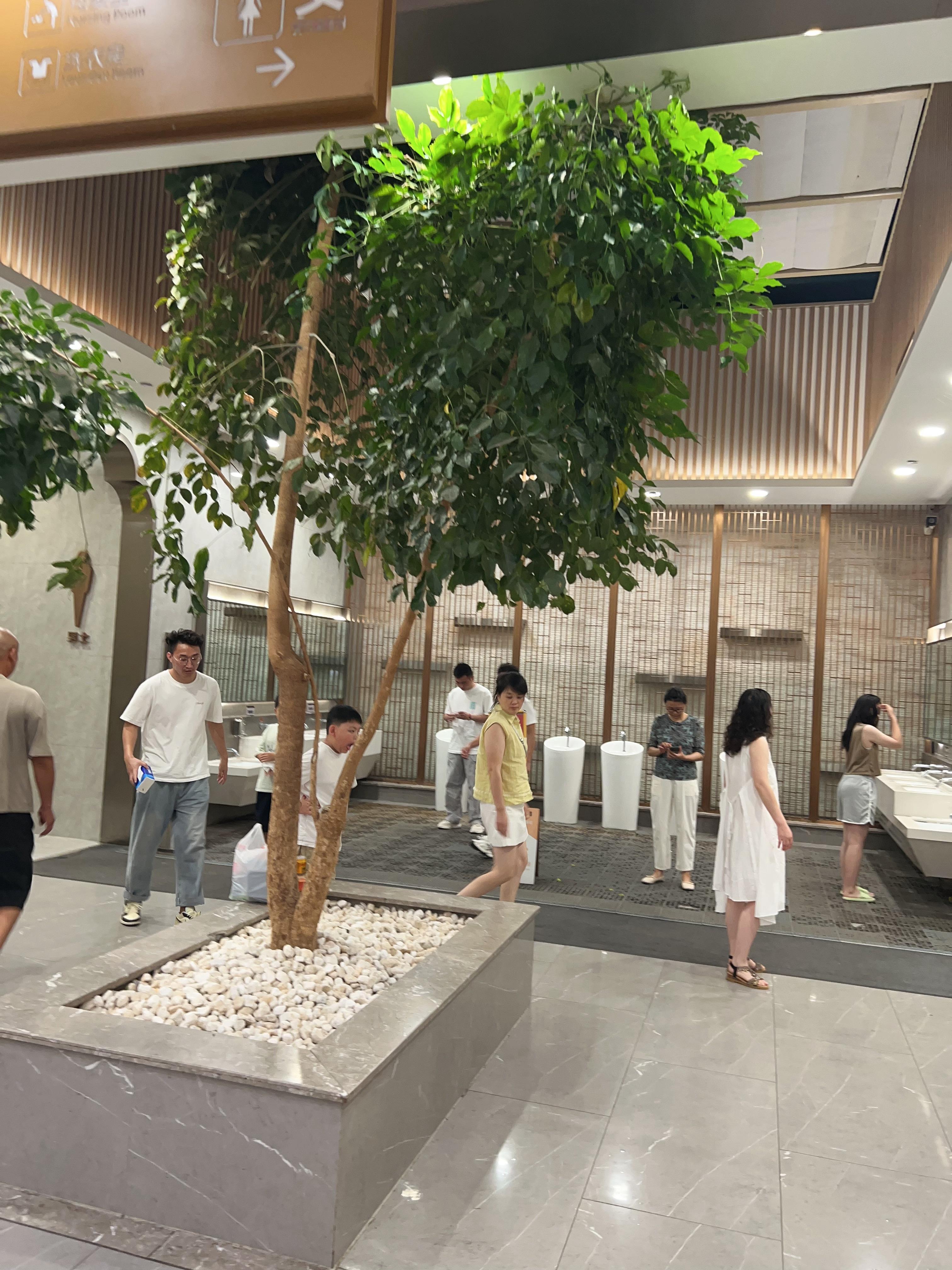这是安徽省的高速服务区，中国服务区的天花板。​​​