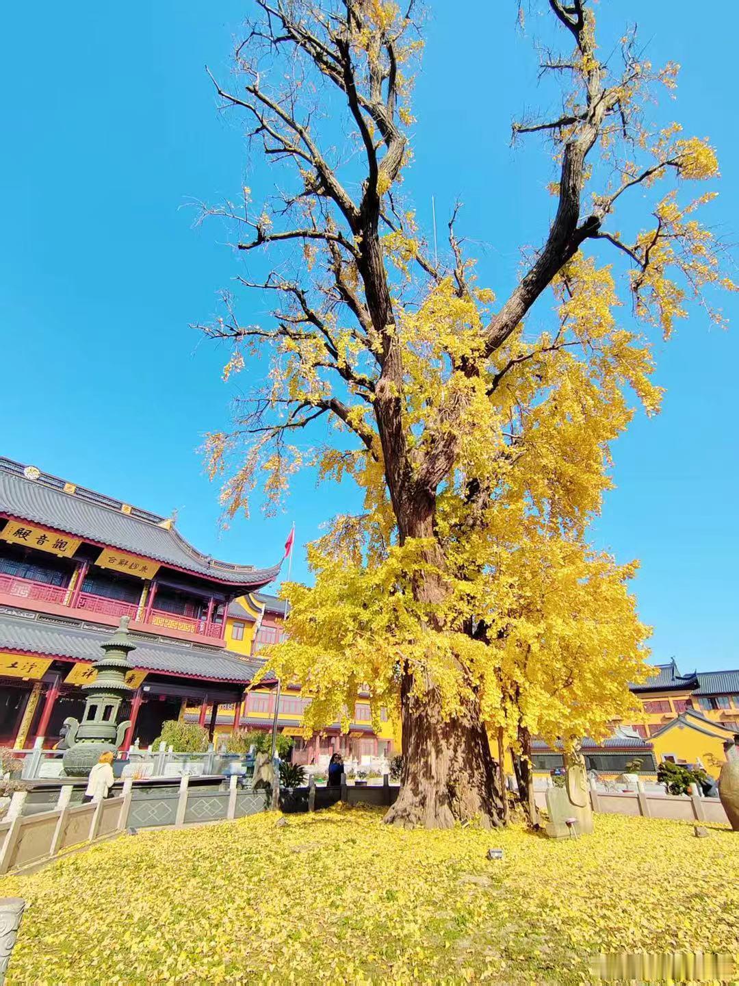 Meta并没有对冲英伟达的风险，而是谷歌正在利用Meta来对冲台积电的风险