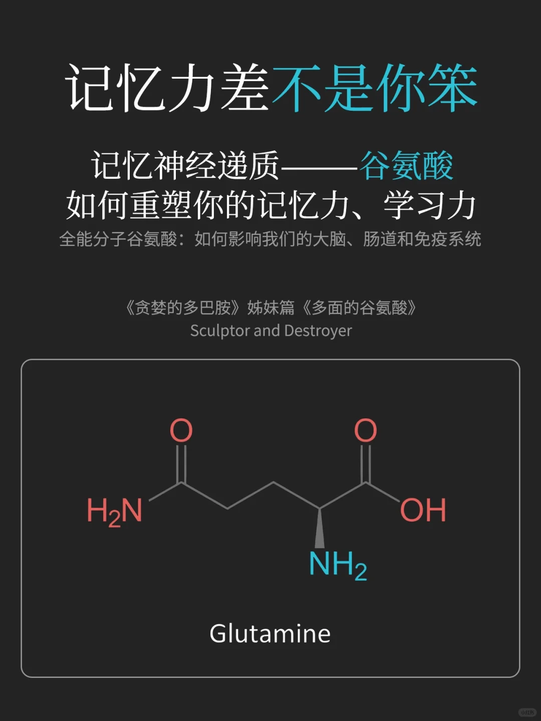 贪婪的多巴胺姊妹篇《多面的谷氨酸》，美国神经科学教授的大脑塑造法，硬核...