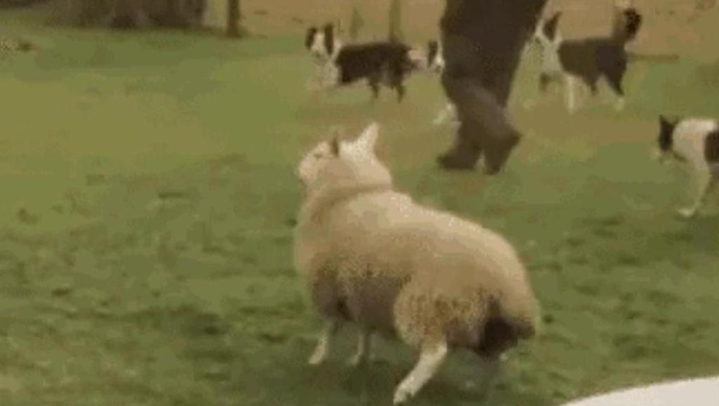 368992498599280151.jpg?id=0