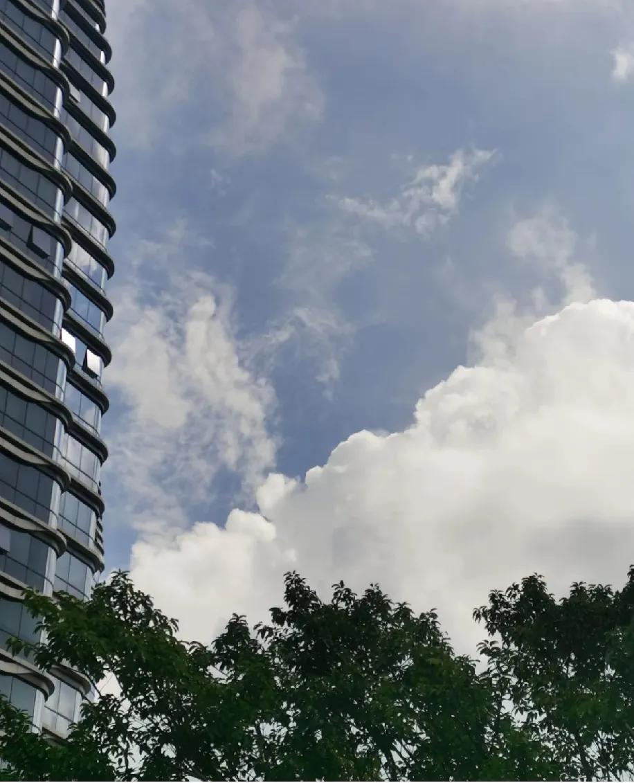 有没有发现辞职/失业在家待久了,哪怕没收入,也越来越不想上班?大概是被“不