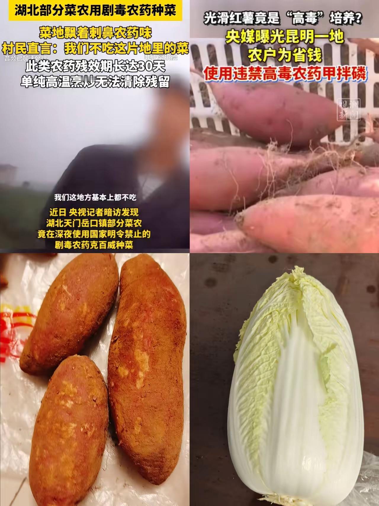 没想到啊，大白菜出问题后，红薯也沦陷了。快去检查一下家里的大白菜和红薯。​