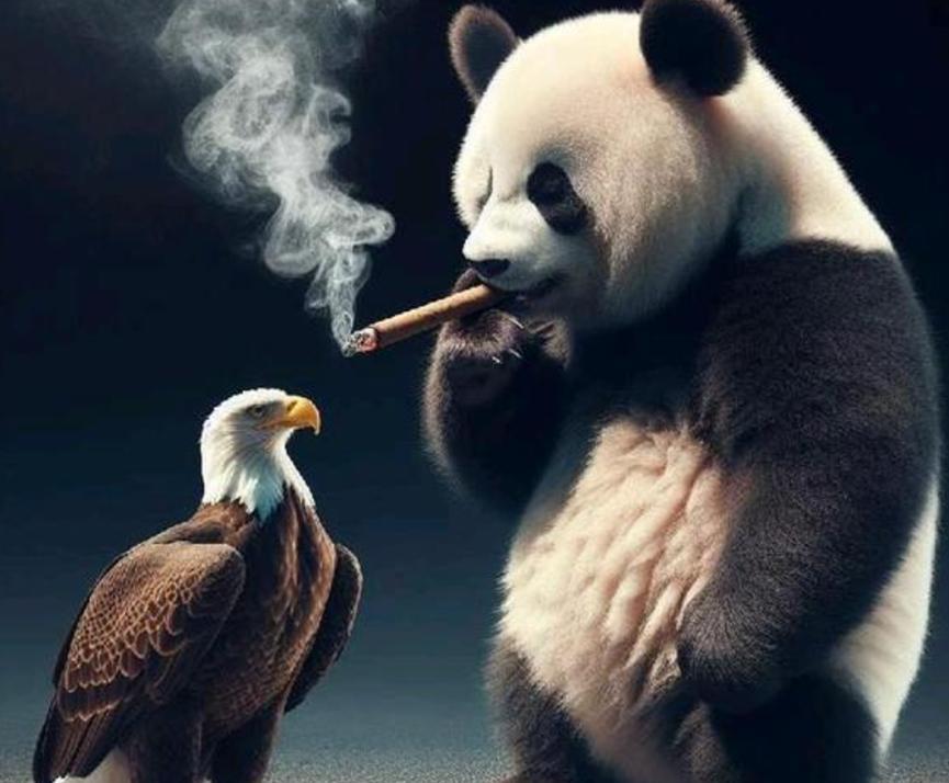 这次对印度惨败感到最害怕的其实是白头鹰，因为巴基斯坦空军只是一支低配版的“中式空
