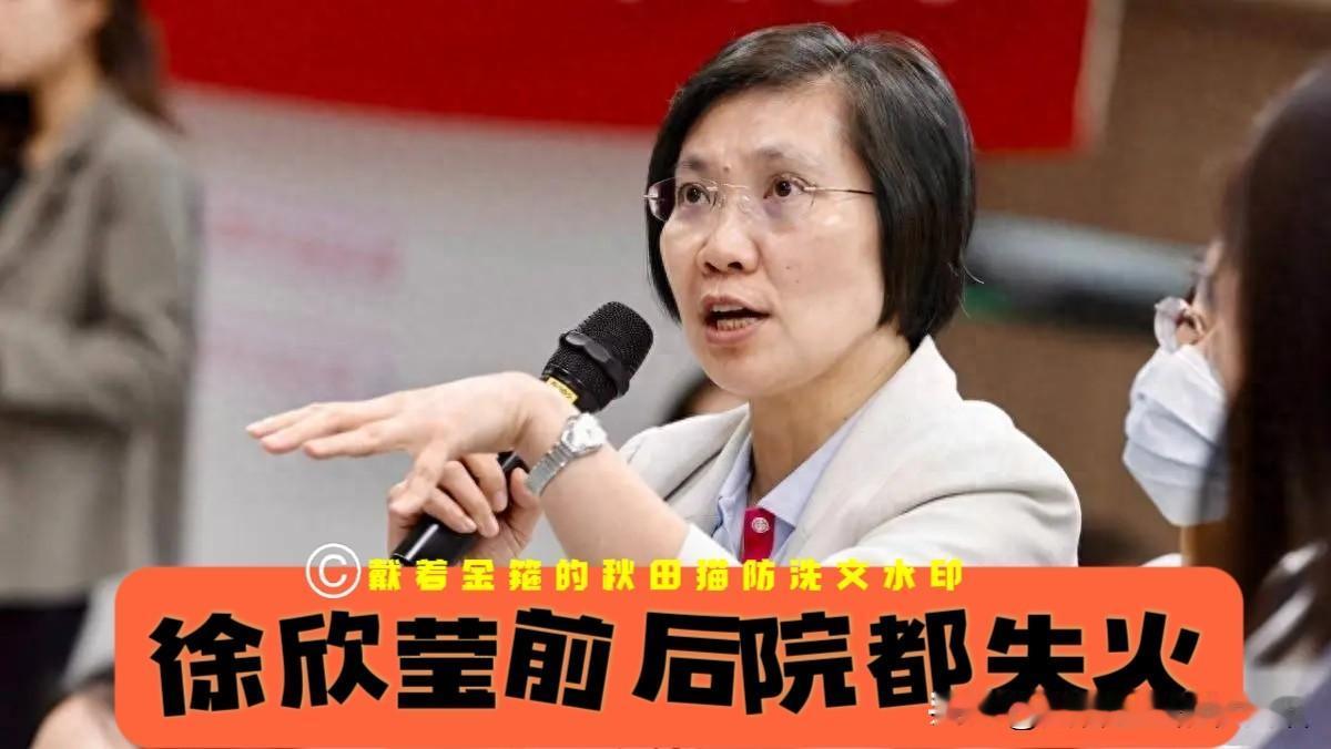徐欣莹前后院都失火，蓝营在新竹县的选情不容乐观，绿营恐坐收渔翁之利～新竹县这