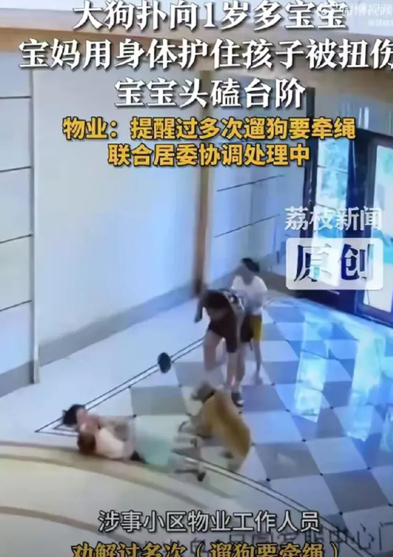 近日，广东广州某小区发生了一起令人揪心的意外。一位业主发布的现场视频还原了事发经