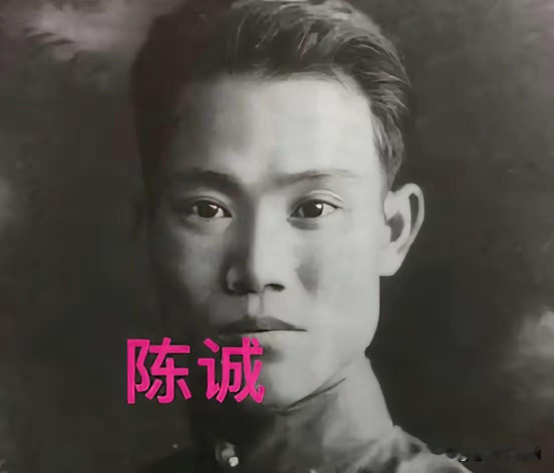 1950年，“密使一号”吴石因潜伏案暴露被处决后，其家人瞬间陷入白色恐怖的漩涡。