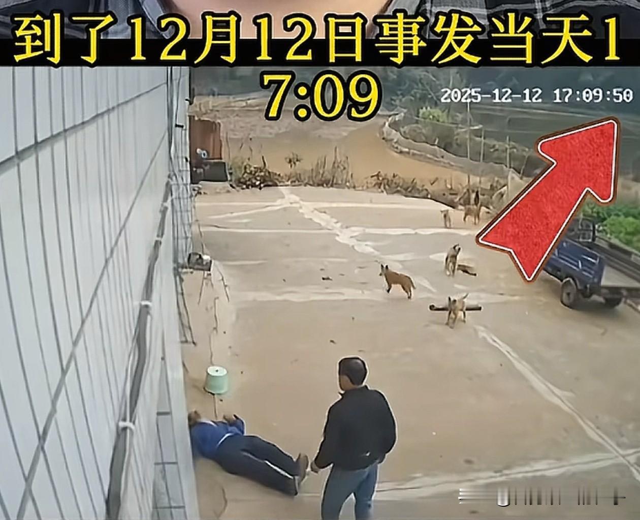 江西黑衣男子打人事件完整版视频来了，大家不要被误导了，官方通报和视频基本对得上，