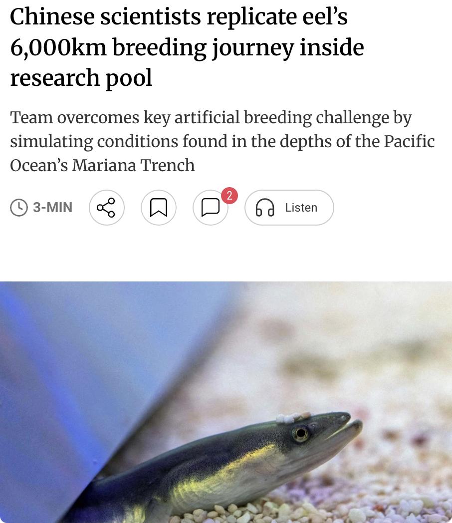 外媒：中国科学家在实验室水池内成功复刻了鳗鱼6000公里的繁殖洄游全过程，攻克了