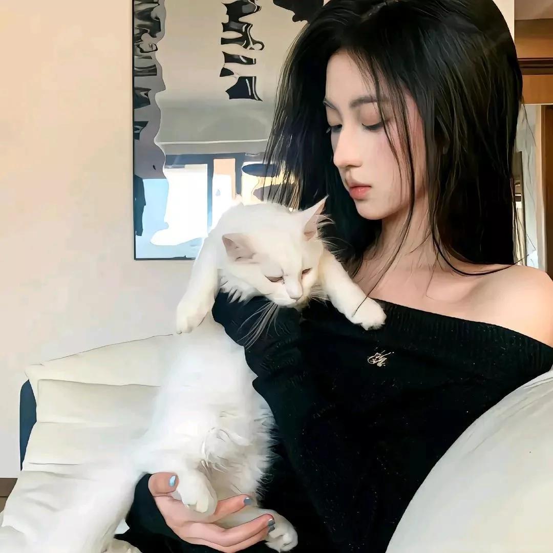 慵懒午后，与猫咪共享宁静时光。治愈之家的猫咪露台上的萌猫遛遛宠物猫戏水的小