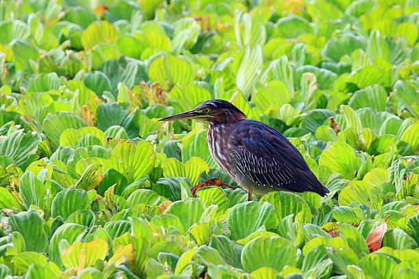 一位哲学学者说：既然人生一定会结束，那我们拼命活着到底图什么？有一个问题，很