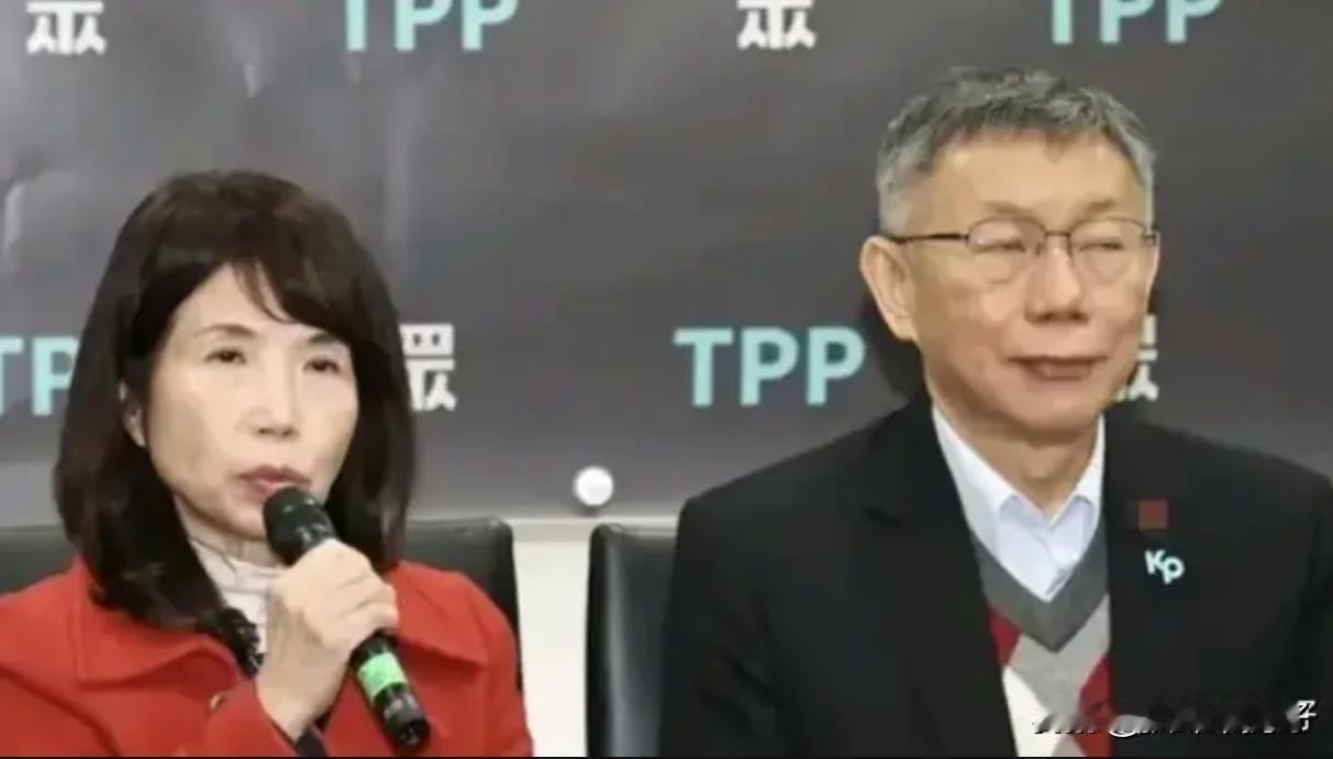 不满柯文哲让陈昭姿留任，林国成质疑：考试合格卸任，不及格的留任？按照两年前柯