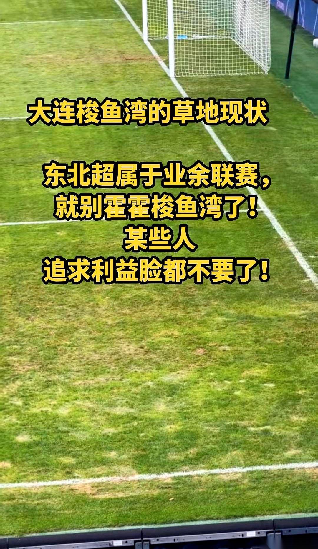大连梭鱼湾足球场的草皮，正在被业余联赛的球鞋，一寸寸蹚出泥坑。这座专业足球场，