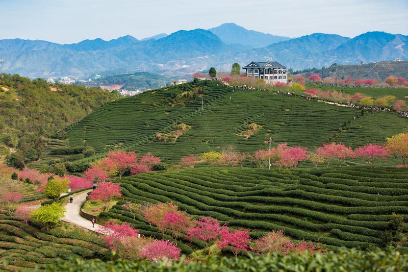 天气回暖，赏花、踏青、短途旅行、露营又开始火了，到处都是春游攻略。