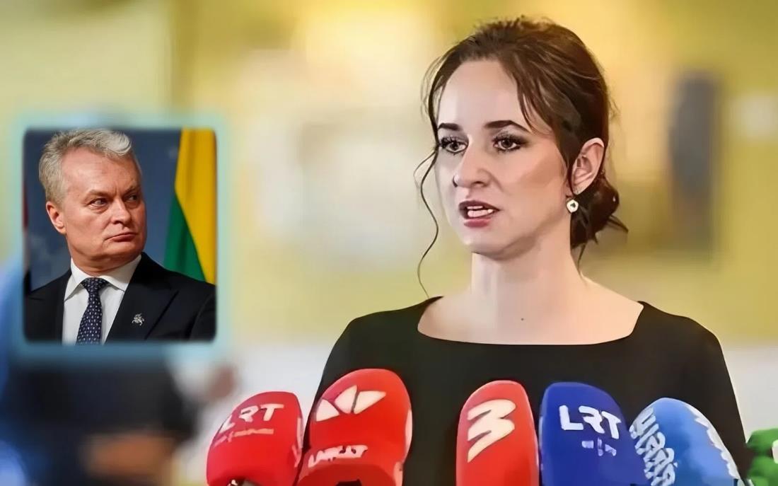 我以为，在面对诸如像立陶宛这样践踏我们底线的小国，我们一定要保持对其高压制裁的“