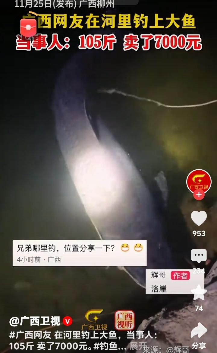 柳州融江河畔惊现105斤“水中国宝”，钓友奋战一小时擒获巨物，7000元成交引爆