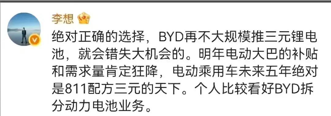 这就战略家和商人的区别，如果比亚迪没有咬牙坚持磷酸铁锂路线，今天的新能源汽车是个