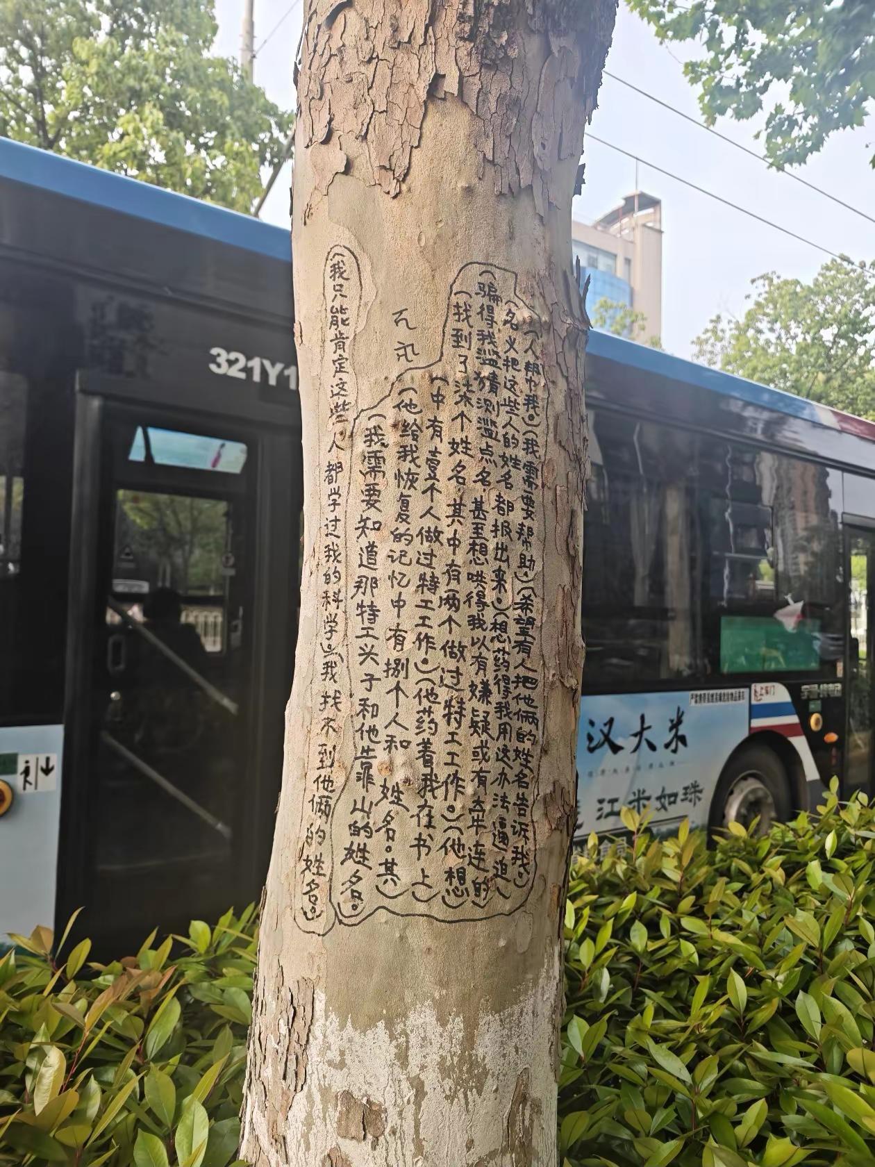 究竟是何人如此闲逸，竟在树上留下笔迹？