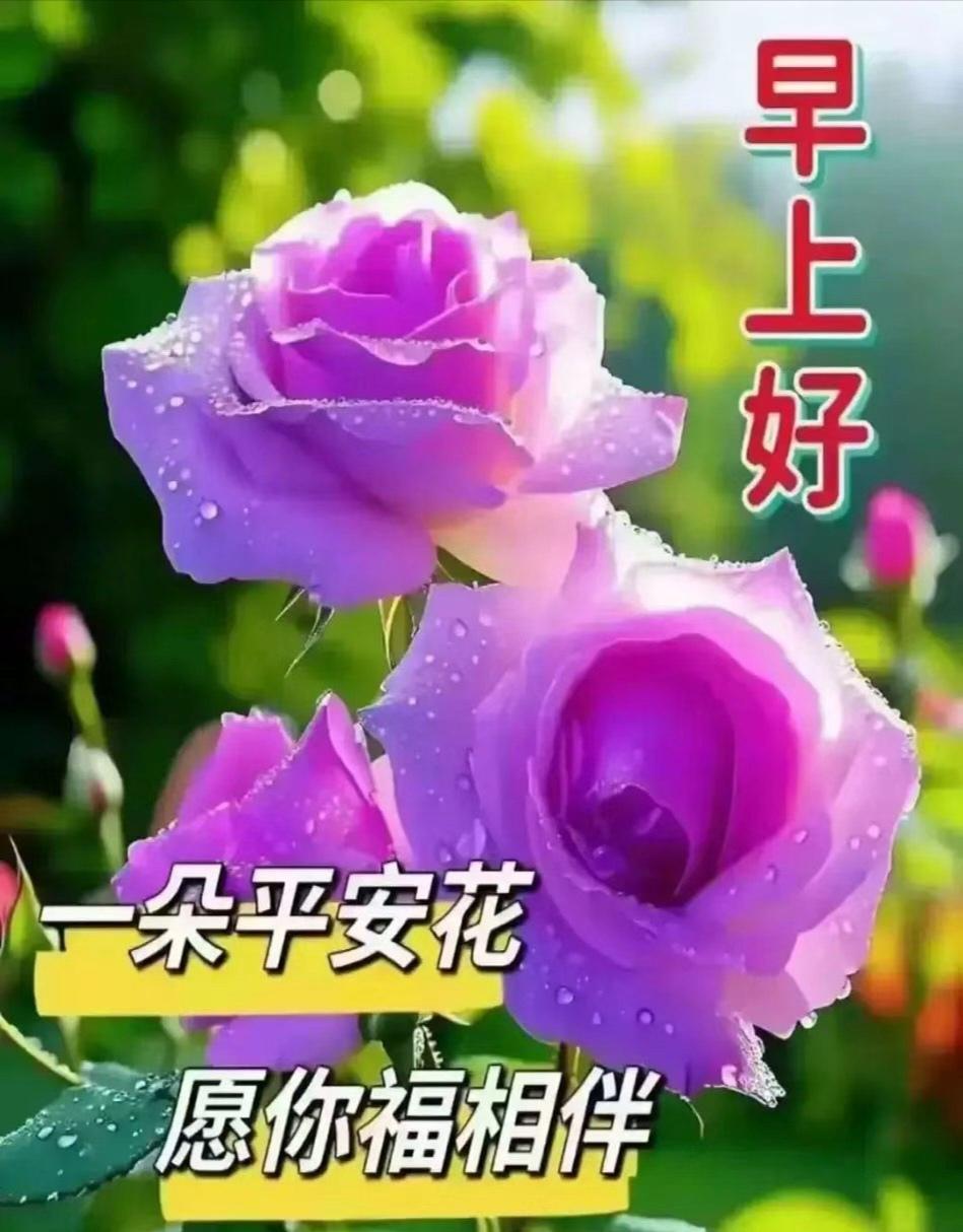 天地焕斑斓，邂逅同心侣。日日牵怀默默看，岁岁常相顾。善语递温情，福寿同