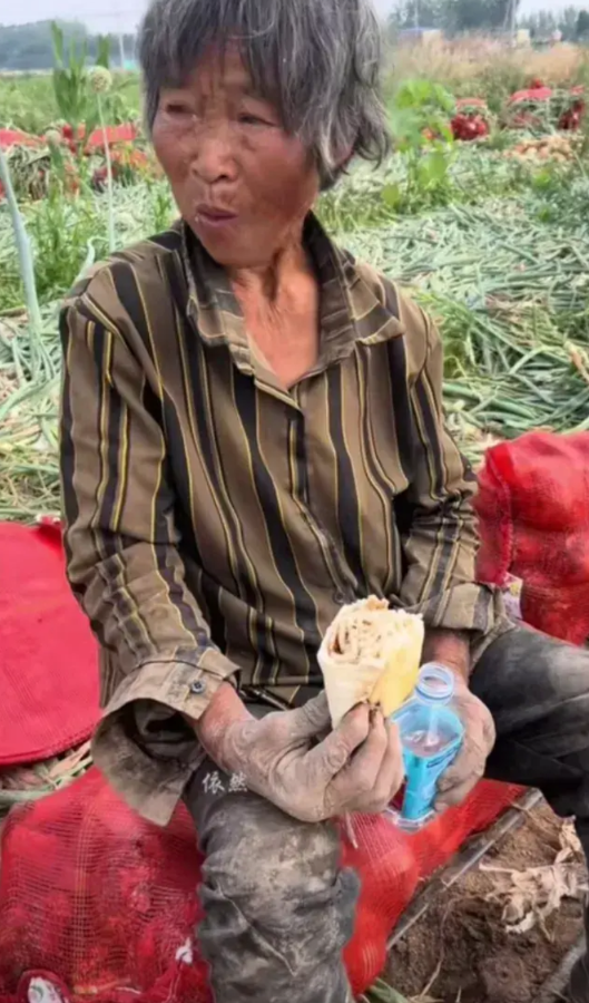 为什么勤不能致富呢？有一位农户种植洋葱，辛辛苦苦种了一年，洋葱的产量有3万斤，结