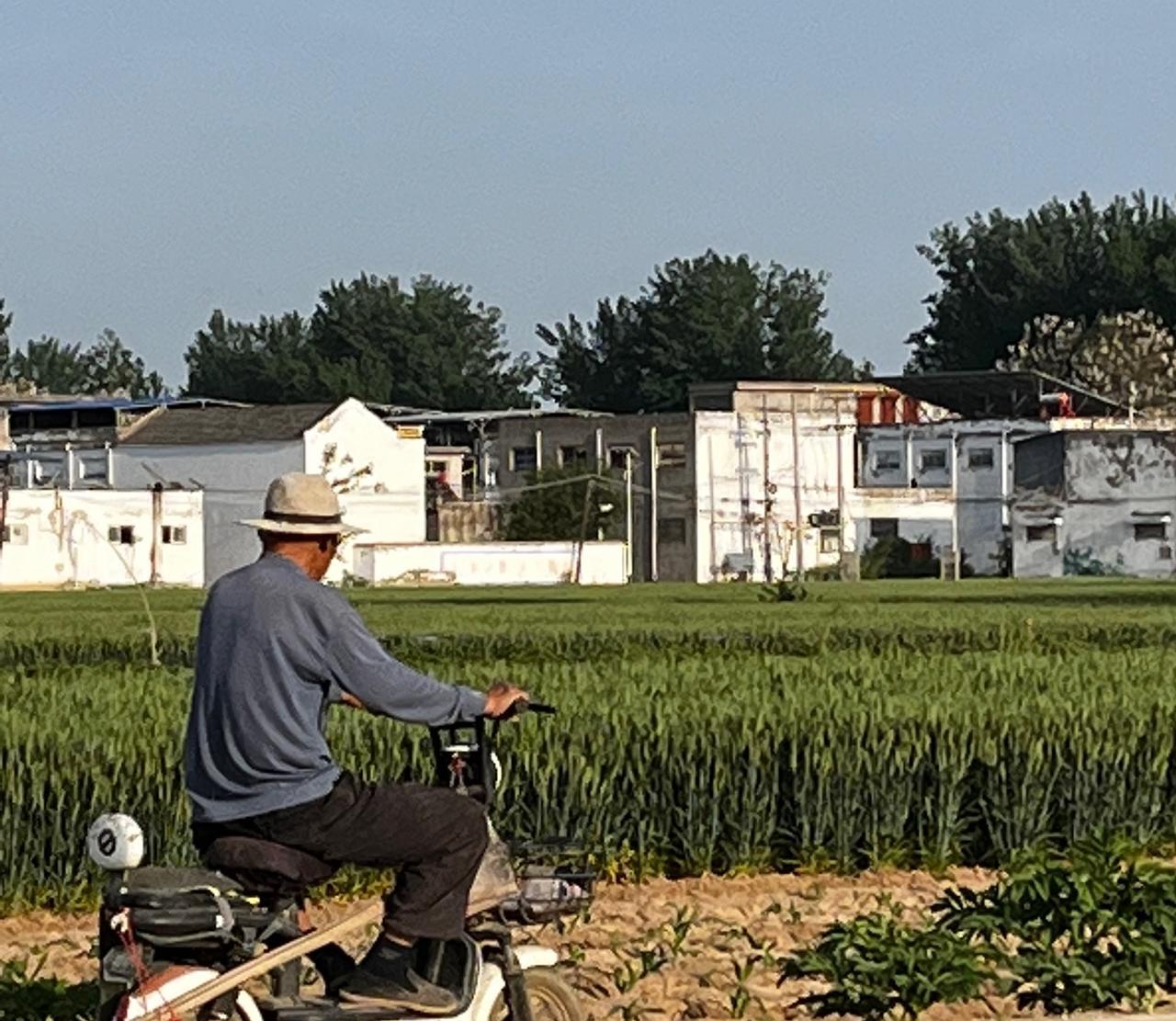 原拆原建之所以刷屏，反映了根源问题老百姓为啥那么关注住房问题，尤其是老房子？根