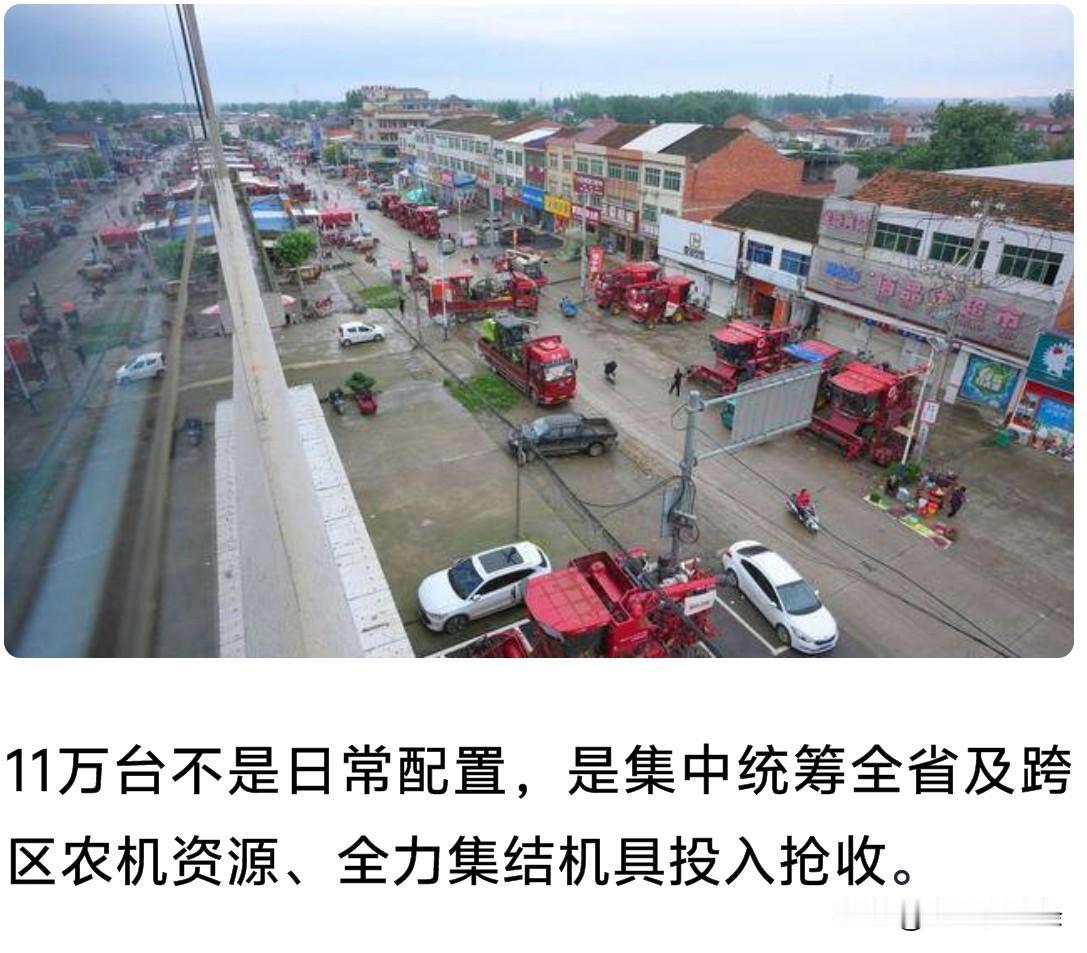全国四分之一收割机砸进河南，我们安稳吃饭，总有人在麦田里和雨天赛跑。自5月末