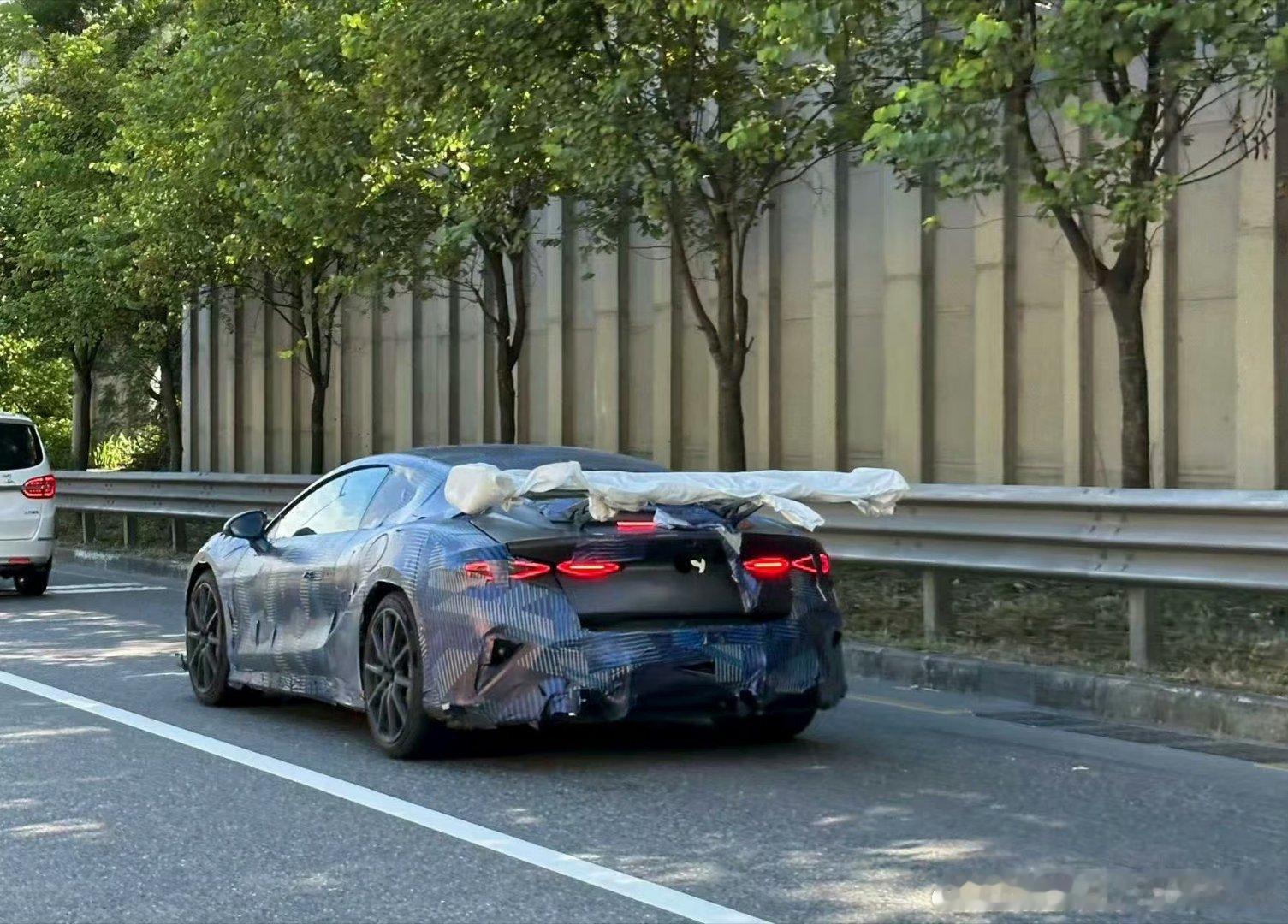 这屁股还真挺好看的，话说圈速捅破天能不能指望你啊[doge]大v聊车​​​