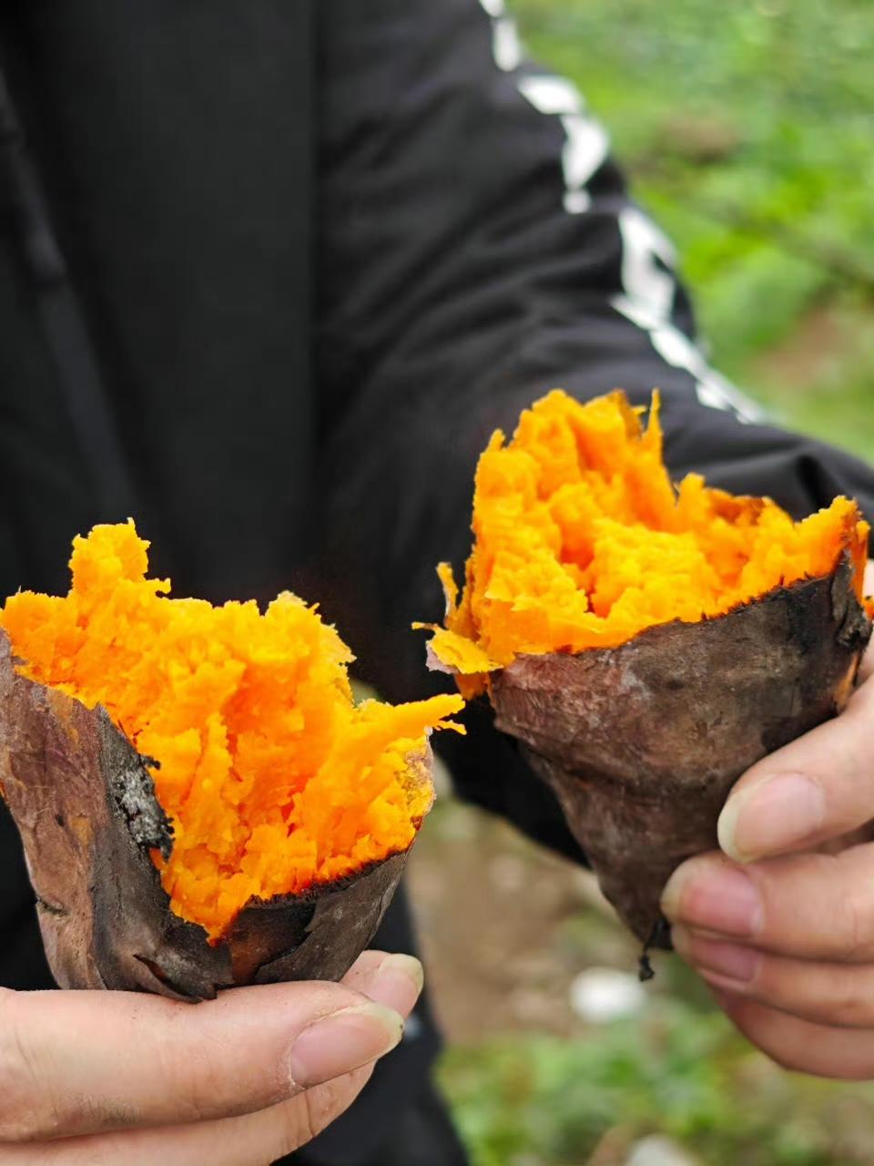 人间烟火粗茶淡饭平平淡淡才是人间