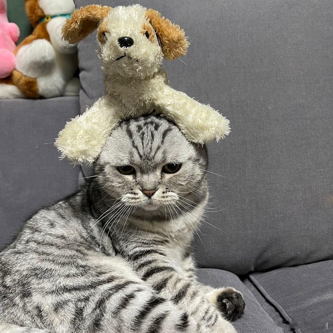 患者来拔牙，询问病史。“嘿，我血糖餐前17，餐后21！”“阿姨这事儿没什么可骄傲