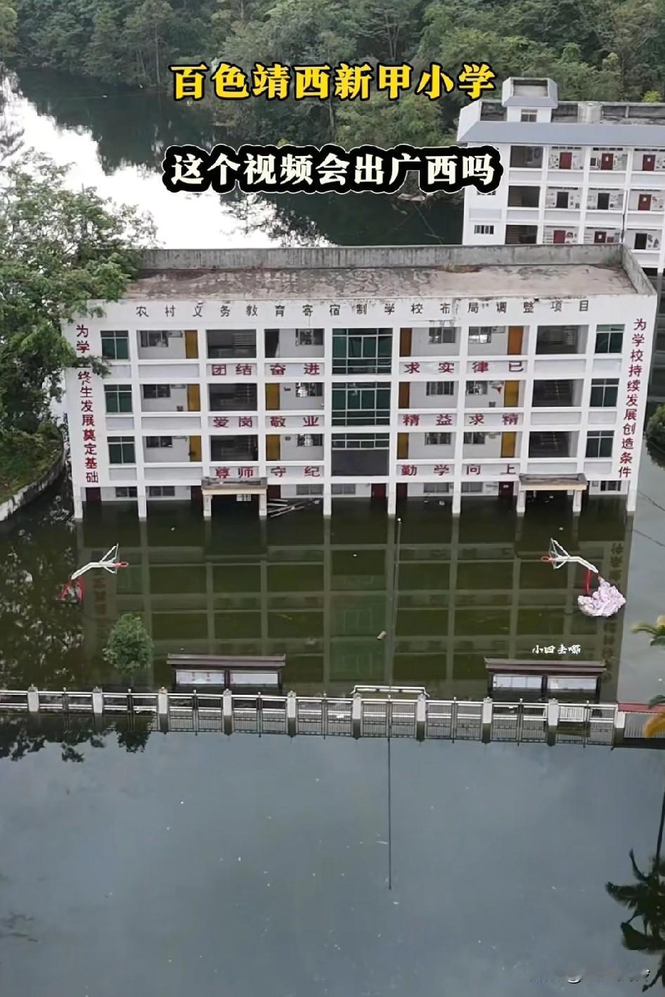 广西百色一所小学泡在水里，学生怎么办？已经泡了十多天了洪灾内涝严重了，像这种水
