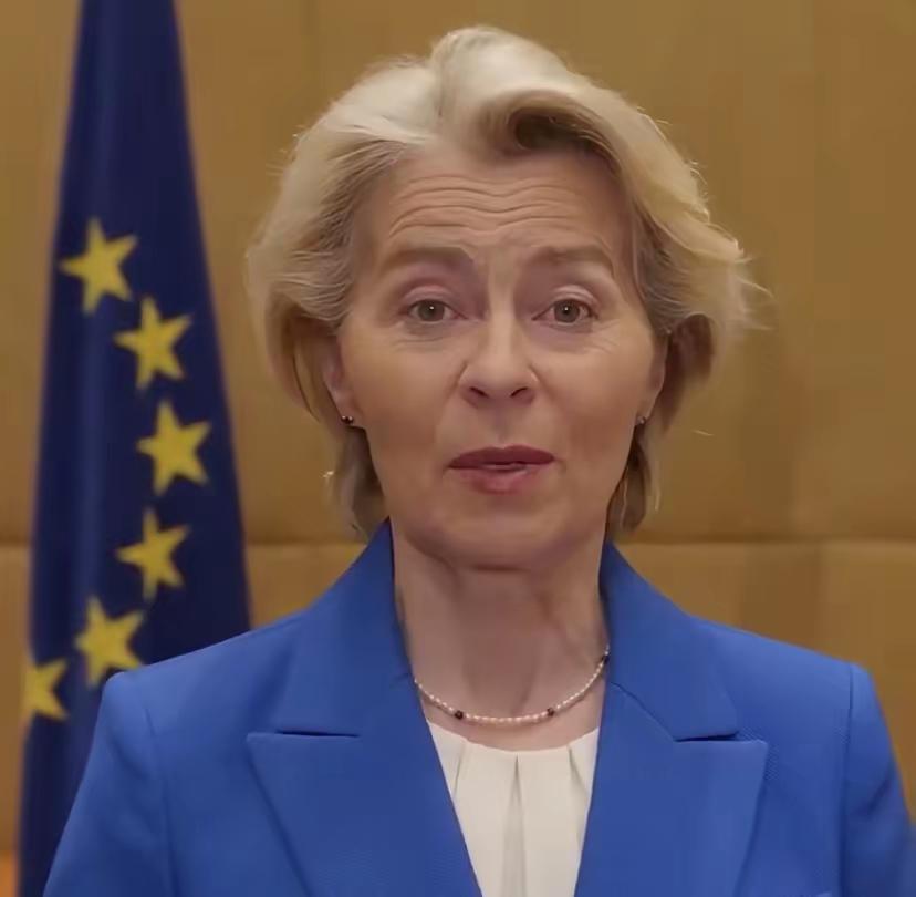 欧盟委员会主席冯德莱恩今天（1月19日）发文说：“我已同北约秘书长吕特、法国总统