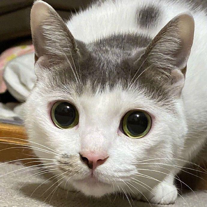 是妈妈剪的刘海。