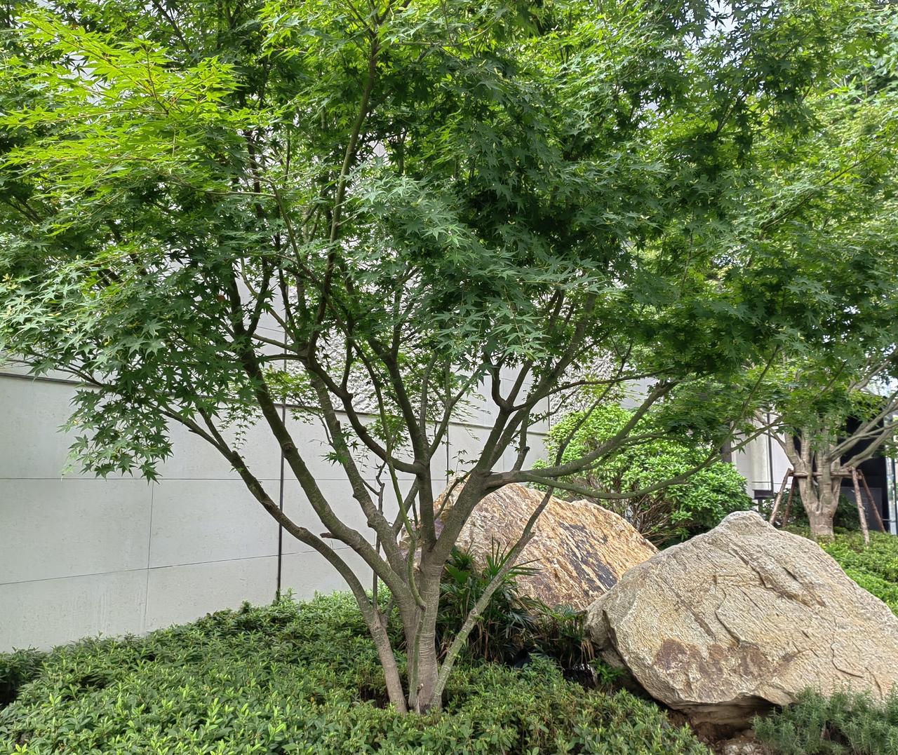 邻居家孩子说，他们实验室的一个研究生进了学生会，每年不仅发好几千元的“劳务费”，