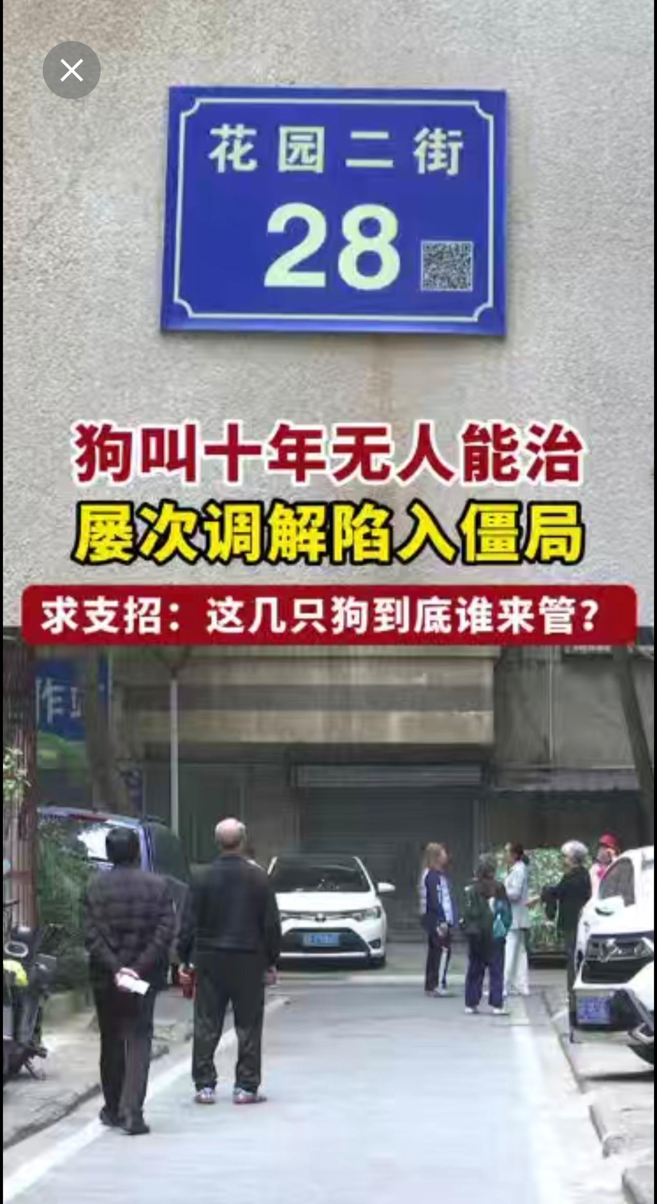 狗叫十年无人能治？公安、城管、居委屡次调解陷入僵局！求支招：这几只狗到底谁来管？