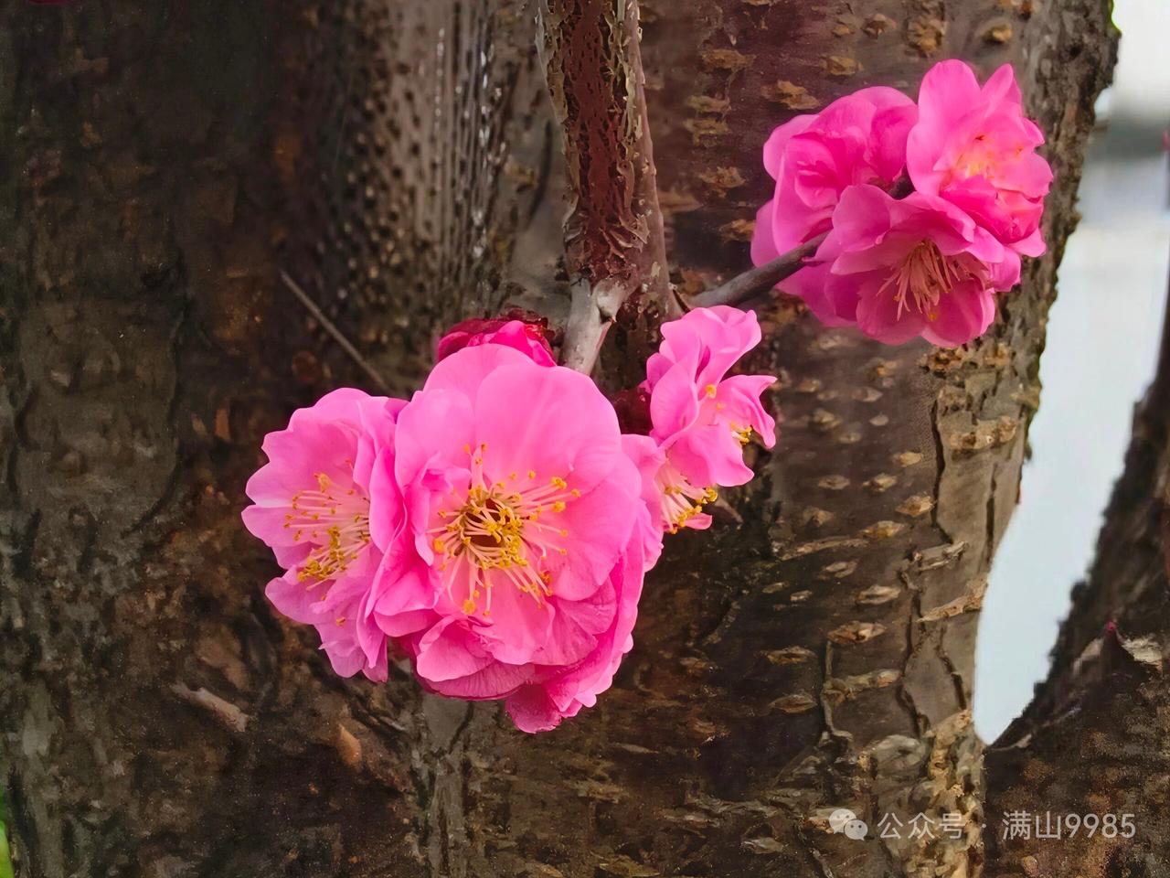 分享一个分享！十二生肖女人什么最多？1、属鼠——事多2、属牛——钱多3、