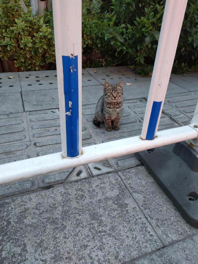 发现一只小可爱