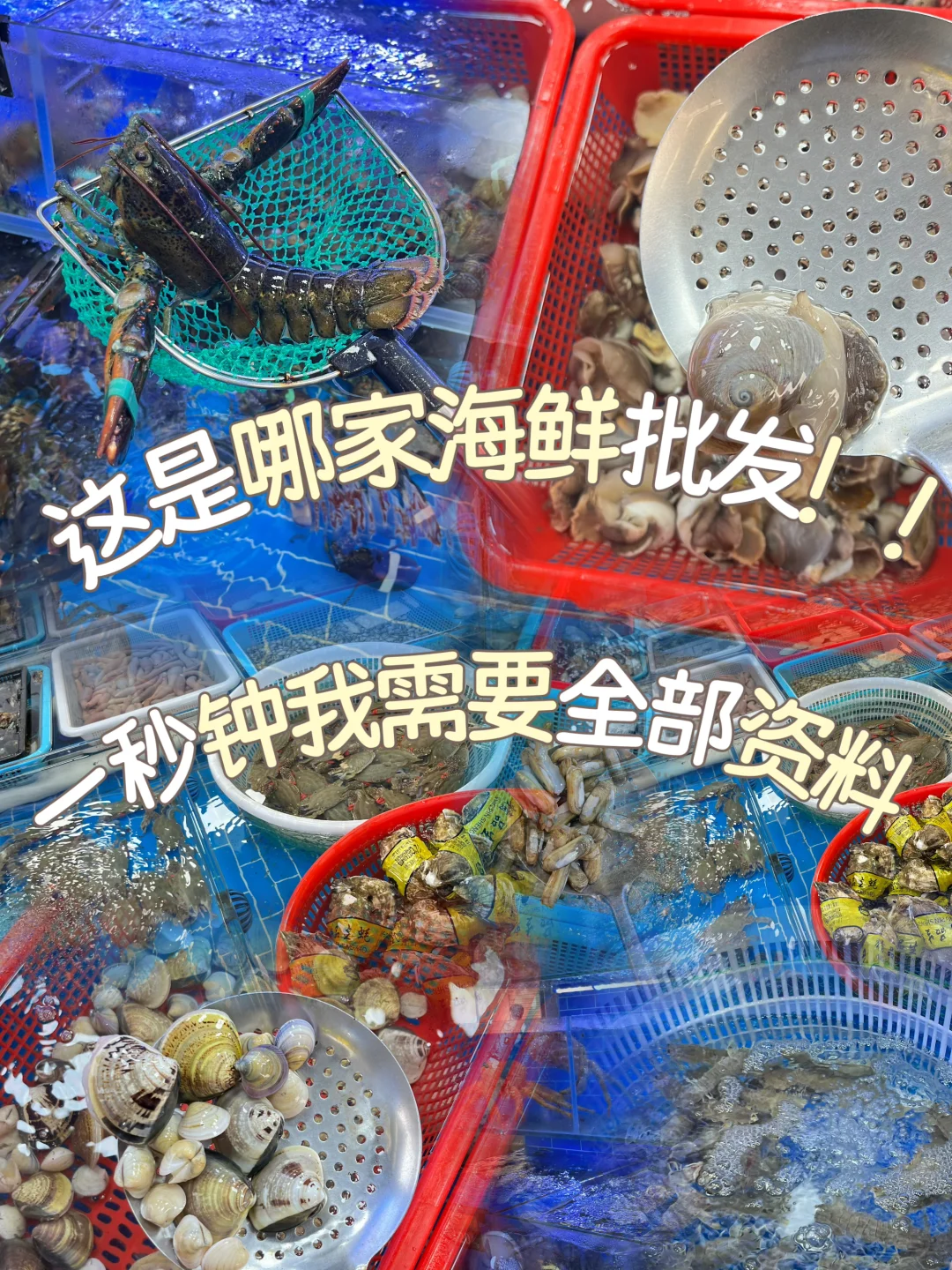 连云港这家海鲜批发店❗️我需要全部资料