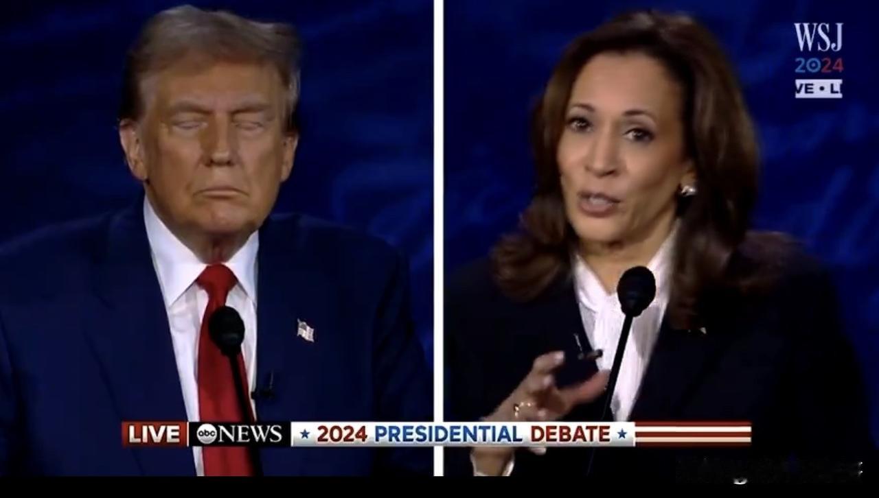 哈里斯被国会监控挖出她的谎言在竞选期间，哈里斯曾控诉特朗普鼓动