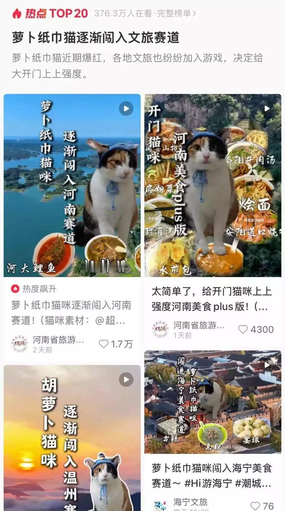 真棒！看人脸色答题的“萝卜纸巾猫”爆火，多地文旅火速加入，网友：听力不详，察言观
