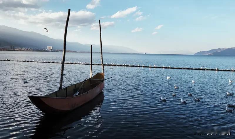 6大维度解码人性，讲透人生智慧想解码人性、掌握人生智慧，不妨从六大维度入手。就像