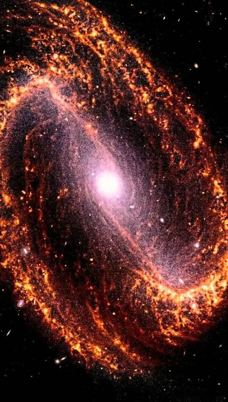 凝视壮丽的条状螺旋星系NGC1300——一幅悬浮在波江座内7000万光年外的宇