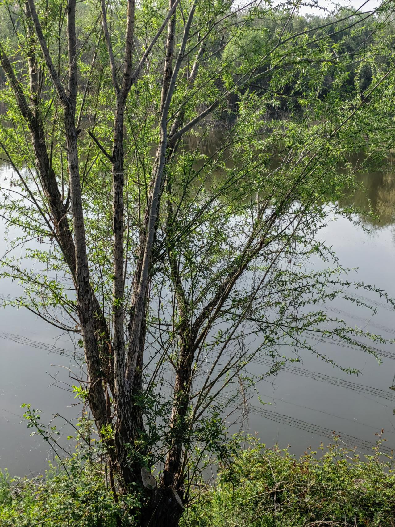 李自成的大军攻打北京为什么那么顺利？因为可以抢到好东西，别的地方抢不到，值得拼命