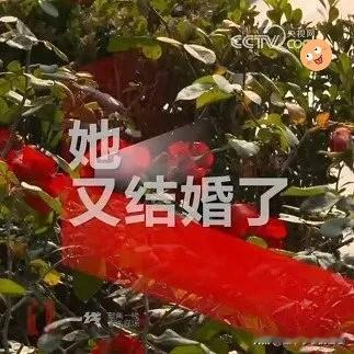 被催婚竟催出荒唐重婚局，上海这名女子的操作真的刷新三观！为了应付家里随便和哥们领