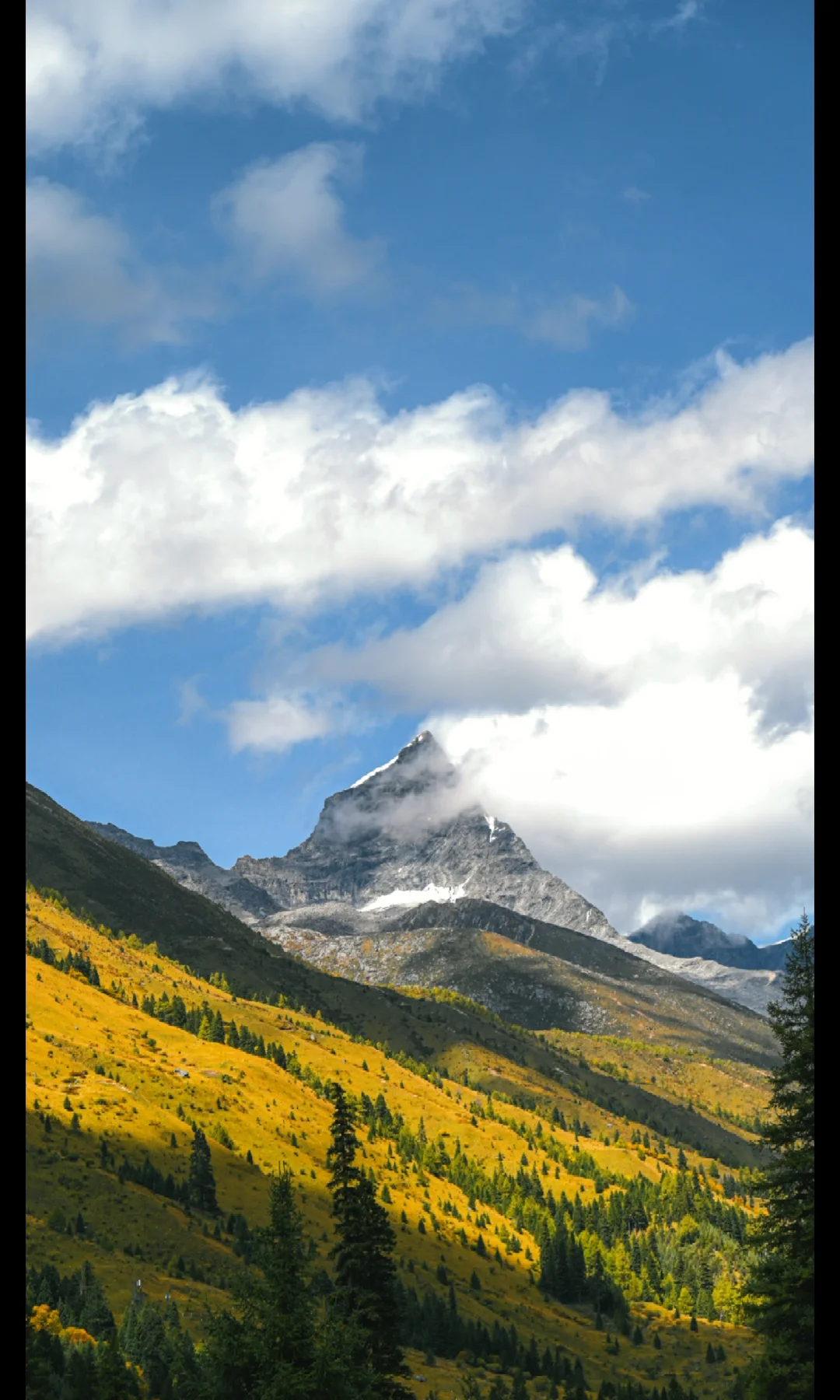 全屏下的日照金山🏔四姑娘山太权威了‼️