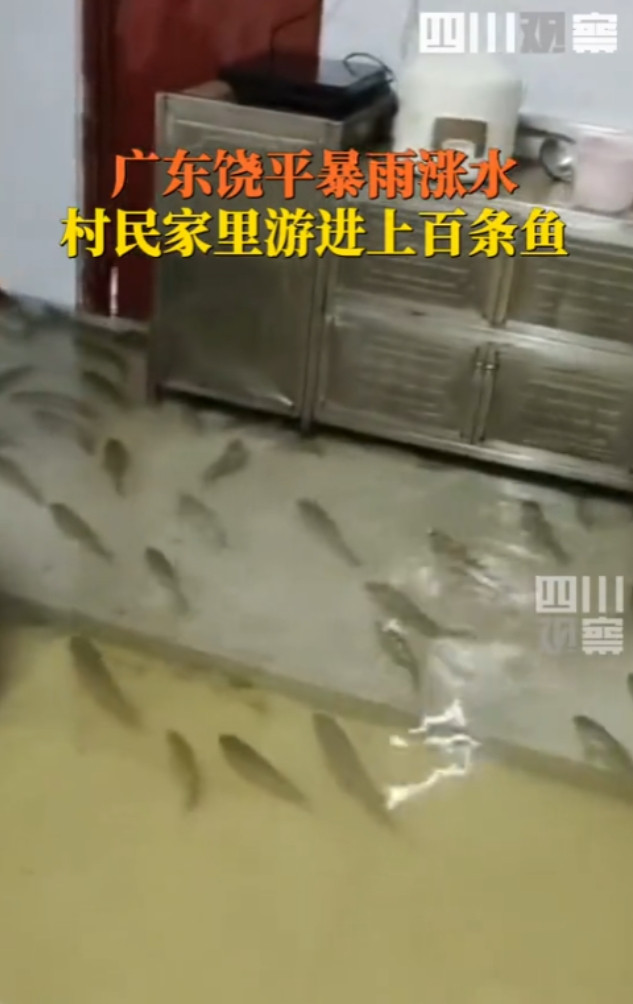 “天上掉馅饼了！”7月22日，广东潮州，因为有台风，男子就一直在家没出门，不料，