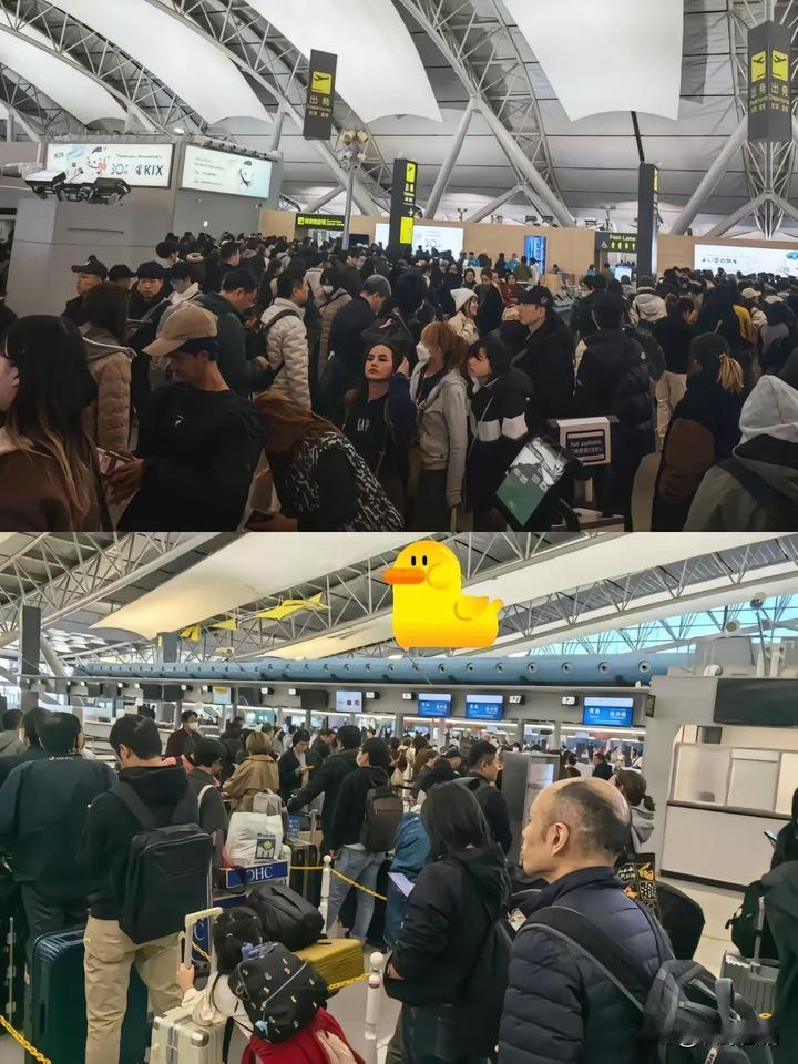 那些喜欢岛国的的回来不好买机票了吧。国内已经停飞日本12条航线，14天日本旅游直